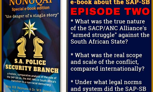 South Africa armed conflict : Nature and comparative scale