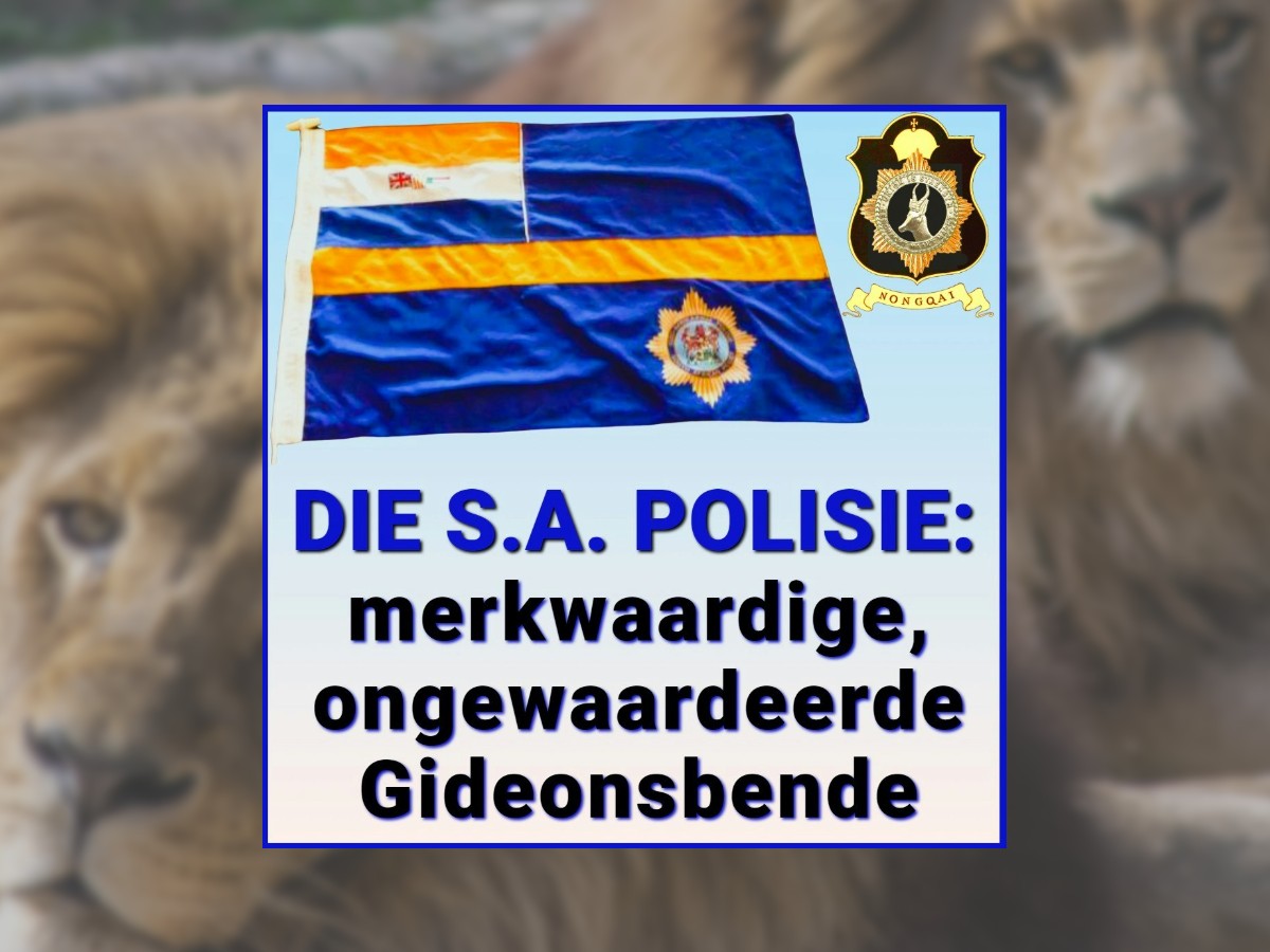 South African Police a case of so few owed so much yet scorned