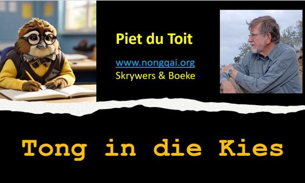 VAN GOED WAT WEG IS SONDER DAT JY DIT VERLOOR HET