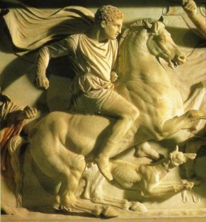 What was the pet of Alexander the Great? - Quora