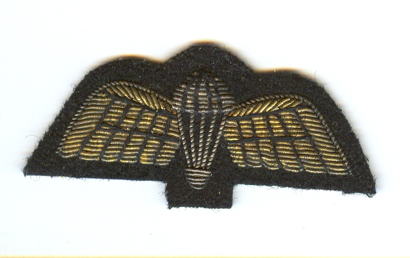A close-up of a patch

AI-generated content may be incorrect.