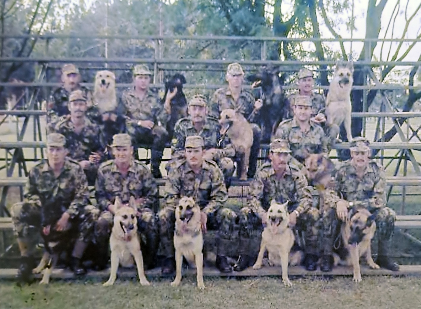 A group of soldiers with dogs AI-generated content may be incorrect.