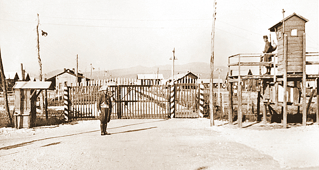 A person standing in front of a gate AI-generated content may be incorrect.
