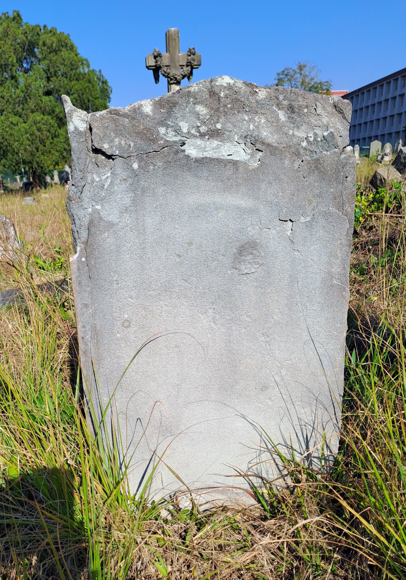 A stone in the grass

AI-generated content may be incorrect.