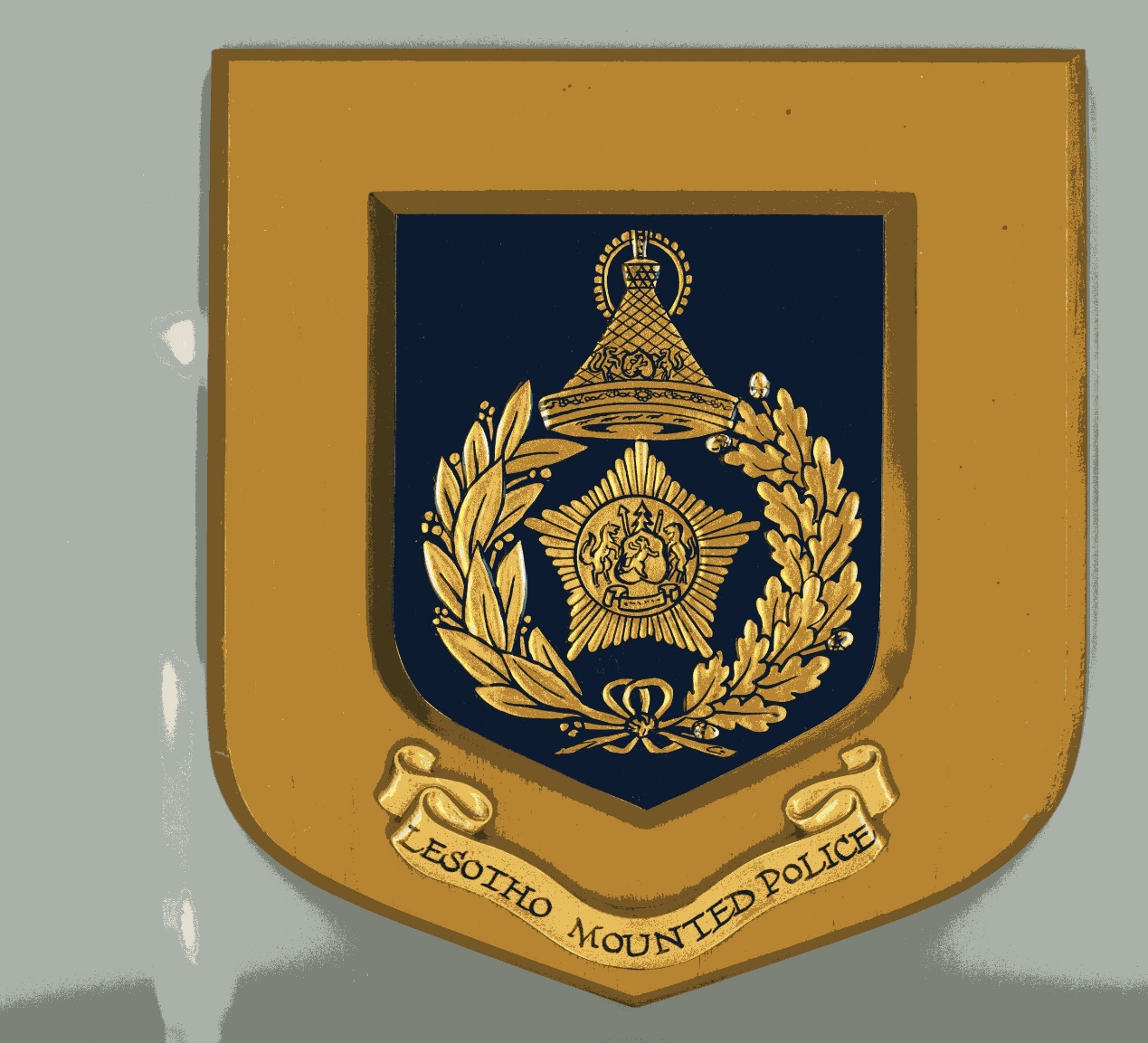 A close-up of a badge

AI-generated content may be incorrect.