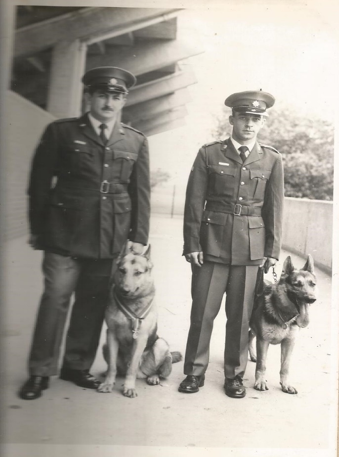 A couple of men in military uniforms with dogs

AI-generated content may be incorrect.