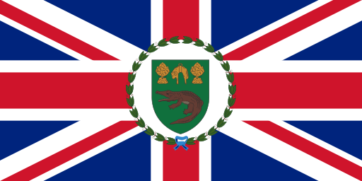 A flag with a green and red and blue flag

AI-generated content may be incorrect.