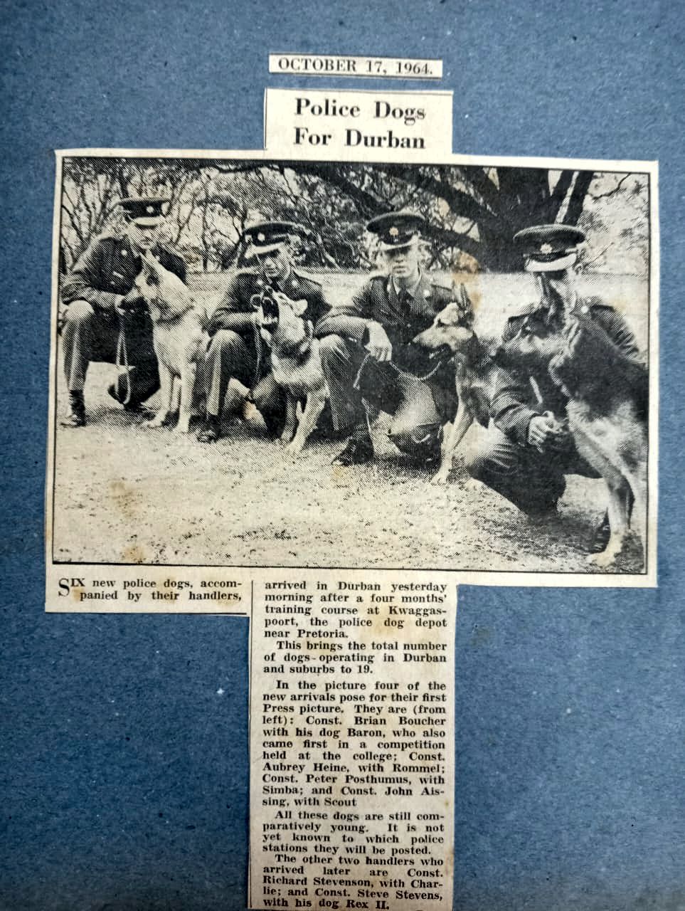A newspaper article with a group of police dogs

AI-generated content may be incorrect.