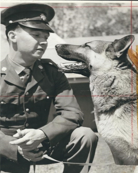 A person in uniform with a dog

AI-generated content may be incorrect.