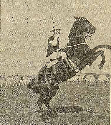A person riding a horse

AI-generated content may be incorrect.