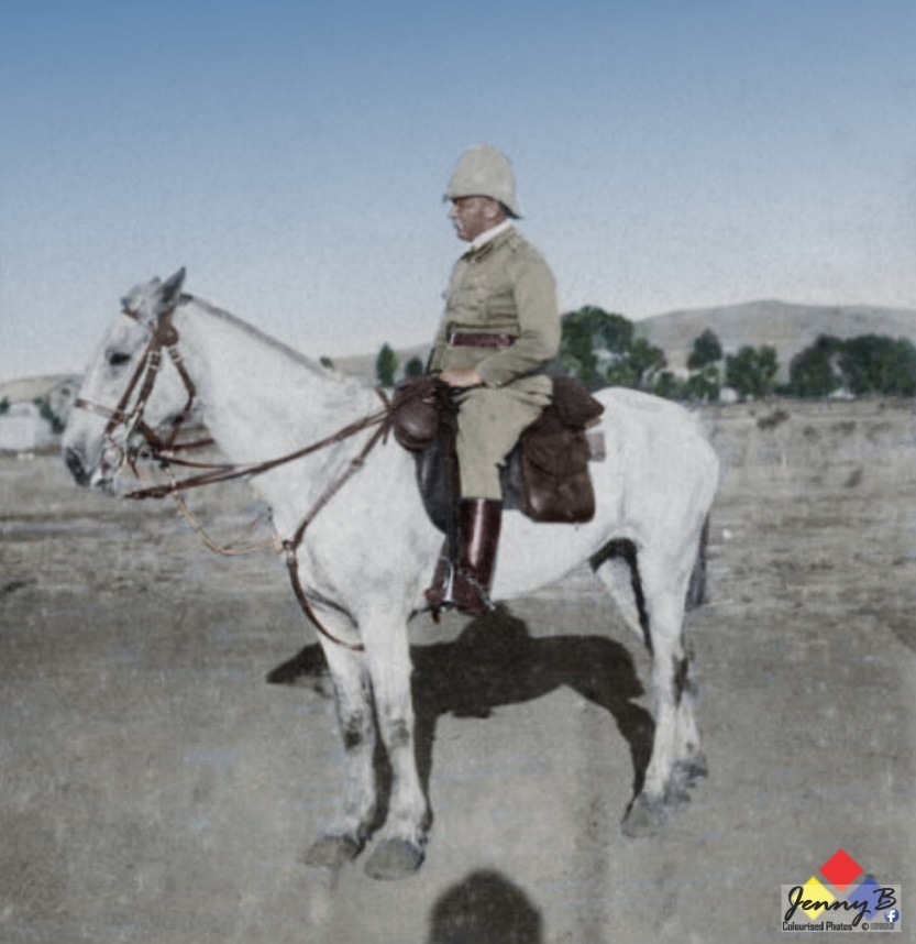 D:\ALL JENNY NEW\Hennie - Nongqai\HORSES\French compl.jpg