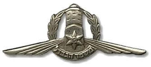 A close-up of a badge AI-generated content may be incorrect.