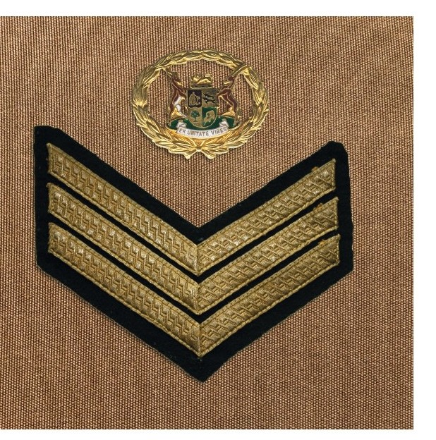 A close-up of a military uniform AI-generated content may be incorrect.