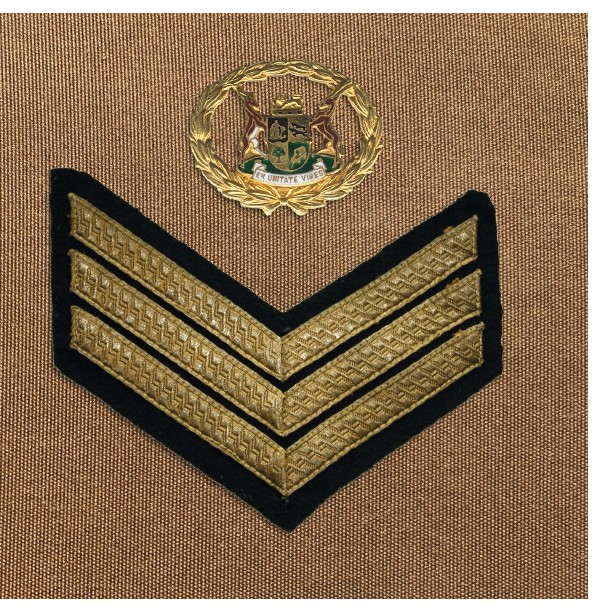 A close-up of a military uniform AI-generated content may be incorrect.