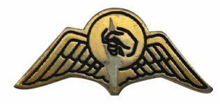 A gold and black pin with a lightning bolt and a hand AI-generated content may be incorrect.