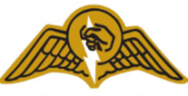 A yellow and black logo AI-generated content may be incorrect.