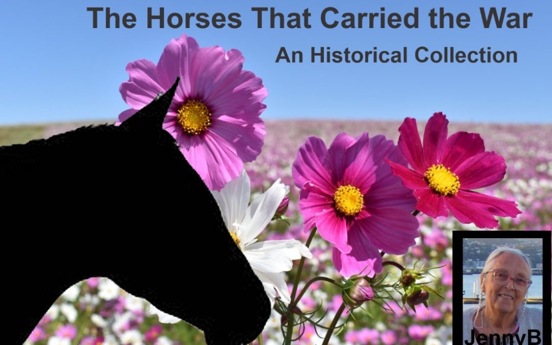 Nongqai Vol 17 No 9 – (7) Horses in the Anglo Boer War